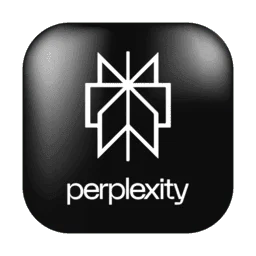 Perplexity